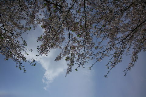 e0116383_16183981.jpg