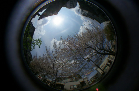 e0116383_16283224.jpg