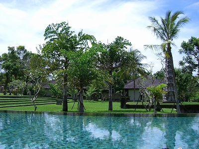 b0101284_1440812.jpg
