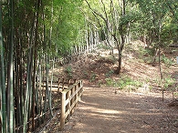 c0105785_14205221.jpg