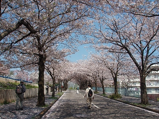 c0105785_14454212.jpg