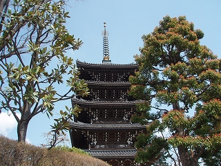 c0105785_15182089.jpg