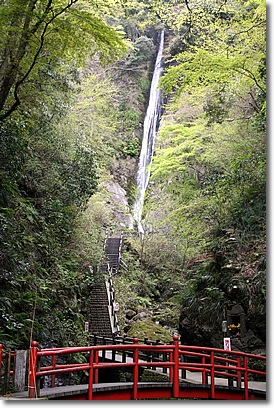 e0010185_22175376.jpg