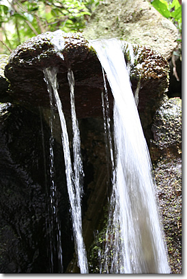 e0010185_2232156.jpg