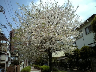 b0043191_1126643.jpg
