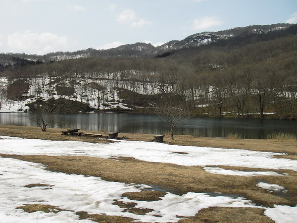a0043193_222181.jpg