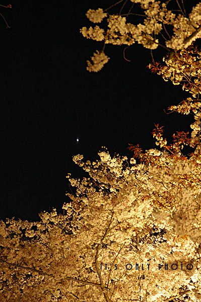 e0008800_2355415.jpg