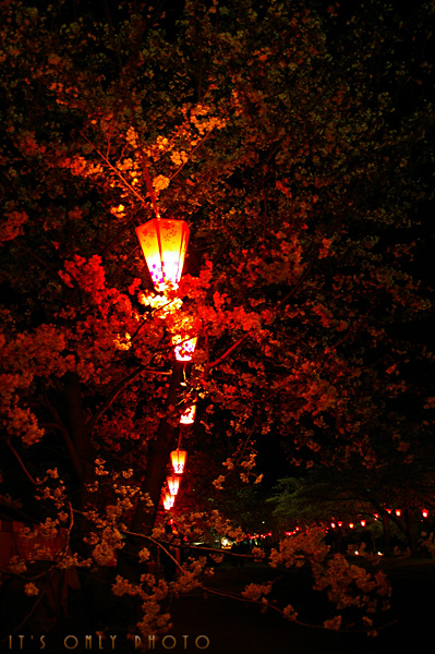 e0008800_235677.jpg