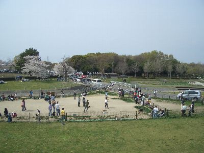 a0051402_243398.jpg