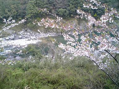 f0098002_2292992.jpg