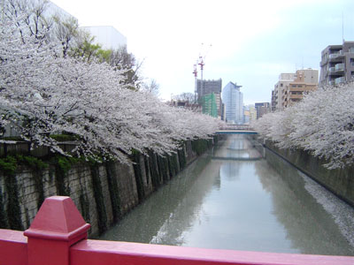 e0026704_13164037.jpg