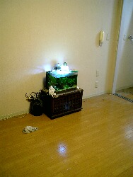 b0071405_10342128.jpg