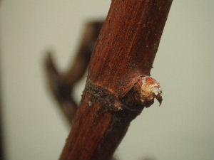 f0041606_2151796.jpg