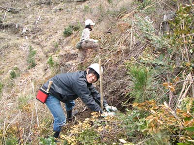 e0032609_2257477.jpg