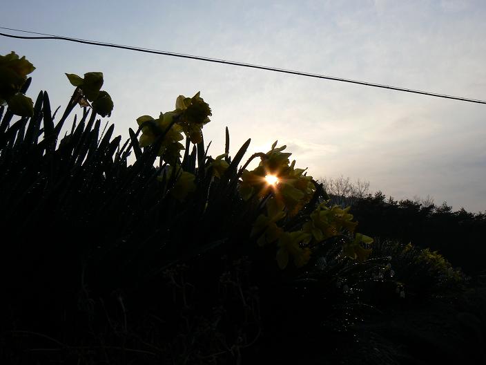 c0086014_2118374.jpg