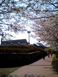 b0055215_21594910.jpg