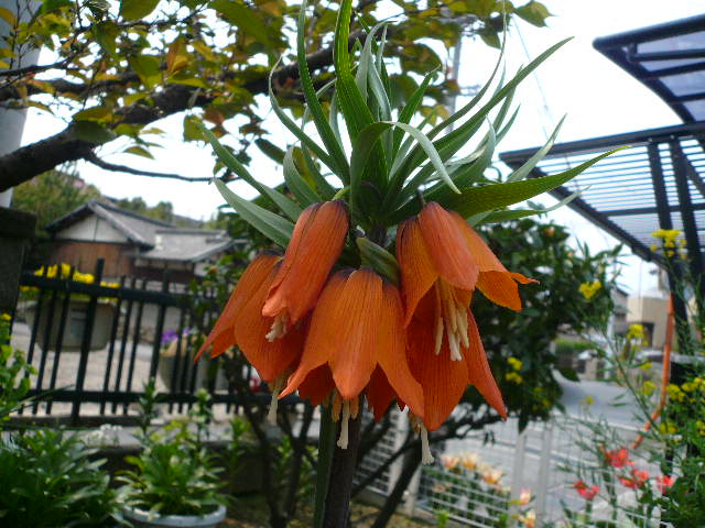 e0026017_0211879.jpg