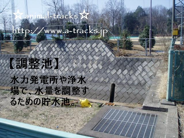 d0035420_063938.jpg