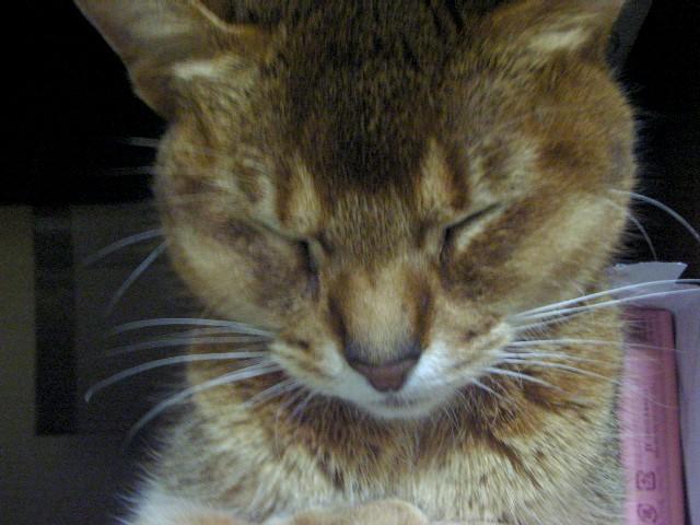 d0081025_2055529.jpg