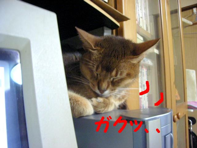 d0081025_20565613.jpg