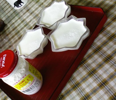 a0020929_12592821.jpg