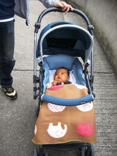 c0012532_015365.jpg