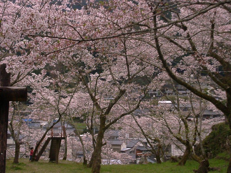f0105732_9574378.jpg