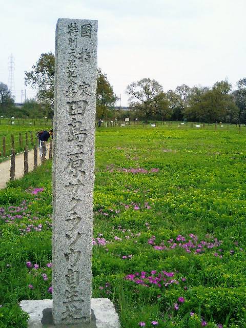 e0091334_12531921.jpg