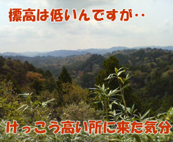 d0107938_2365694.jpg