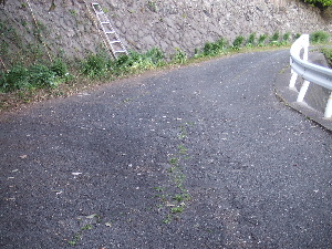 a0054240_20595989.jpg