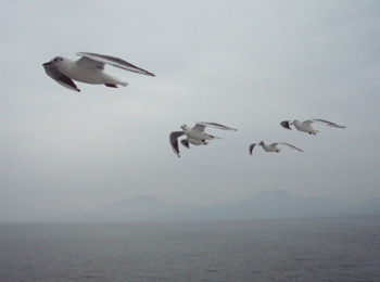 c0040244_2012281.jpg