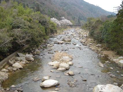 c0080856_9391254.jpg