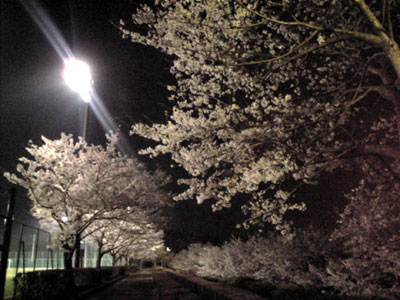 b0101263_15444477.jpg