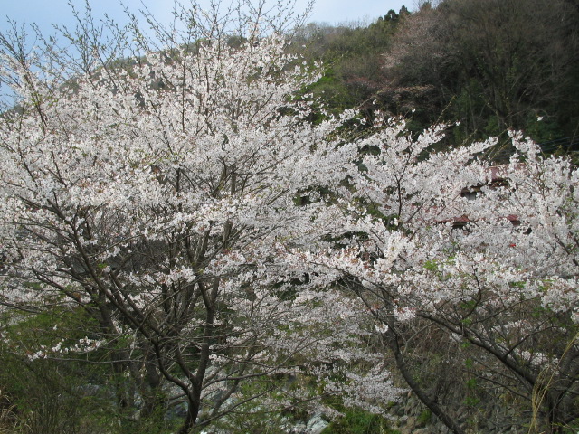 f0113163_2213623.jpg