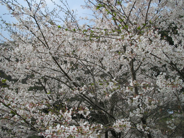 f0113163_2231114.jpg