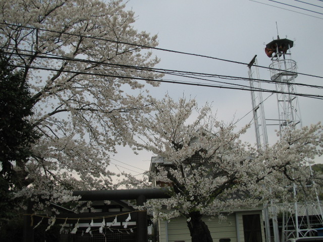 f0113163_22341566.jpg