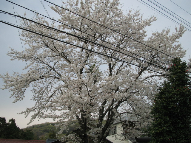 f0113163_22342682.jpg