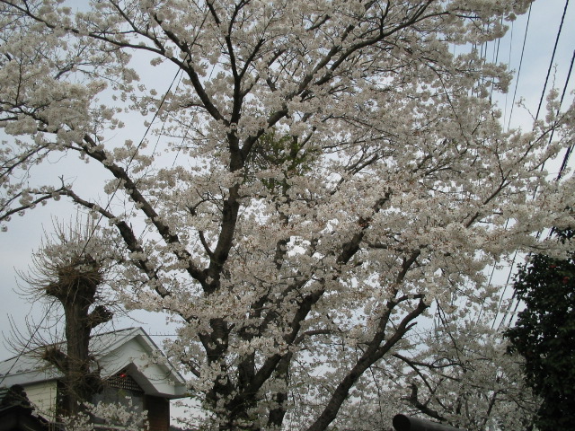 f0113163_2235036.jpg