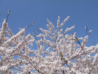 c0048667_0224073.jpg