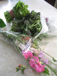 c0038170_1338410.jpg