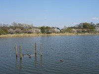 b0004675_12323445.jpg