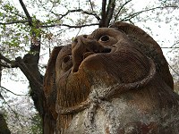 b0004675_12325039.jpg