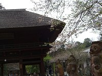 b0004675_1233145.jpg