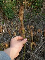 b0057281_23313795.jpg