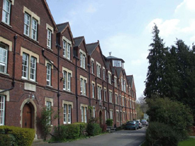 c0105386_972132.jpg