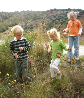 e0023086_41587.jpg