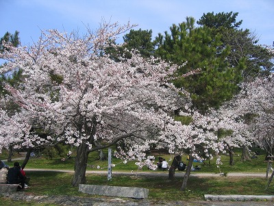 e0100086_21133013.jpg