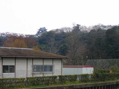 e0100086_21144868.jpg