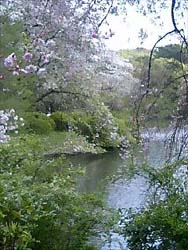 f0088586_1423308.jpg