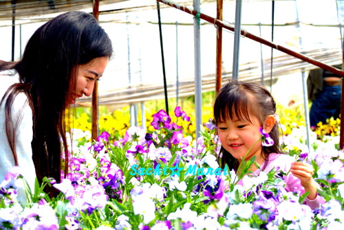 c0073387_0382065.jpg